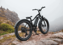 ebike-photo-5